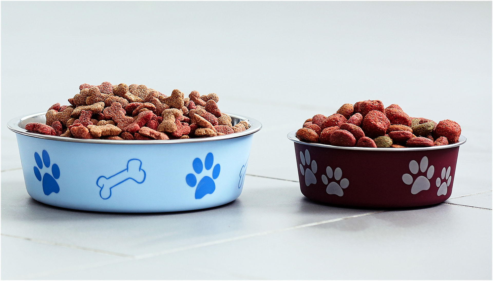 Bowls of dry pet food in different sizes arranged on a tiled floor.