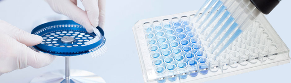 A person wearing gloves holds a tray containing a blue and white liquid mixture.