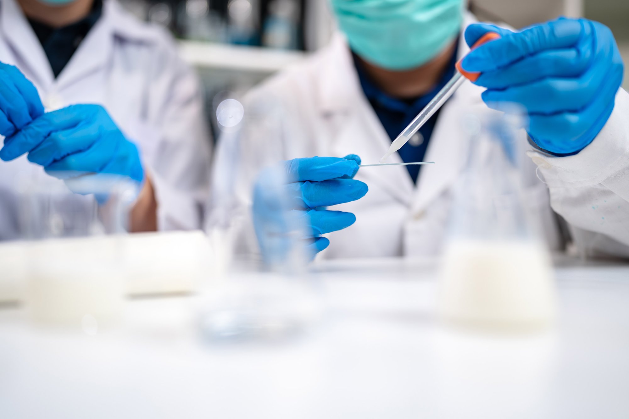 Two people wearing lab coats and gloves are engaged in a scientific task together in a laboratory environment.