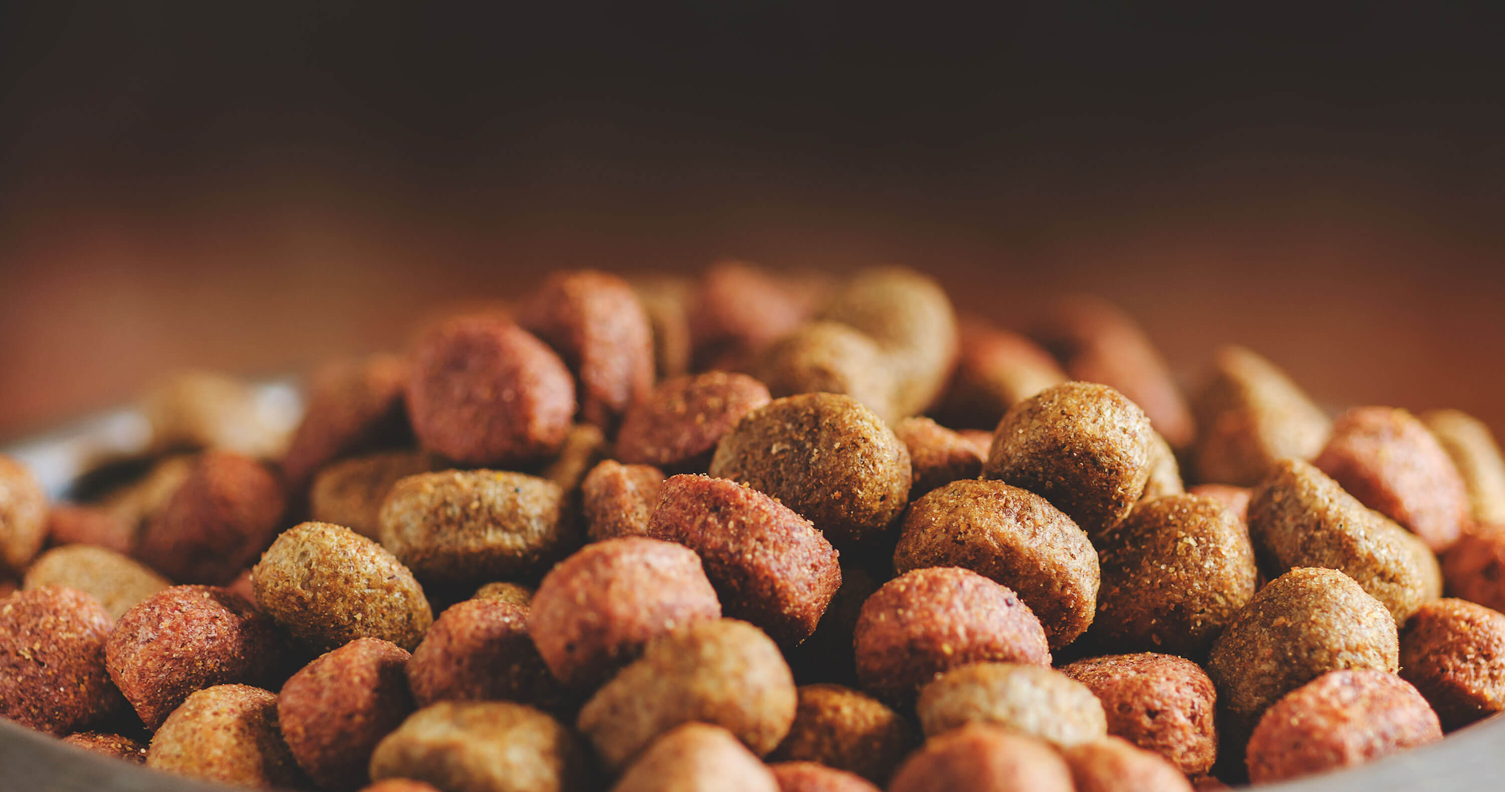 Close-up of dry dog food in a bowl against a brown background.