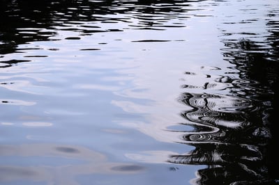 Reflections ripple across the surface of a pond.