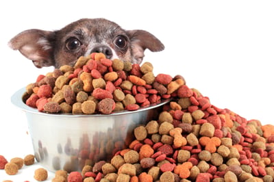 Dog peaking over dog food.