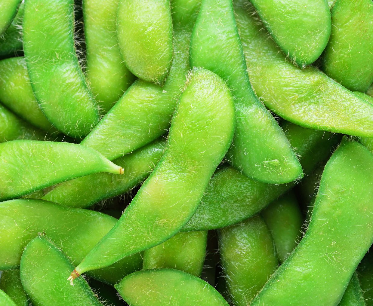 Detailed view of a pile of green soybeans.