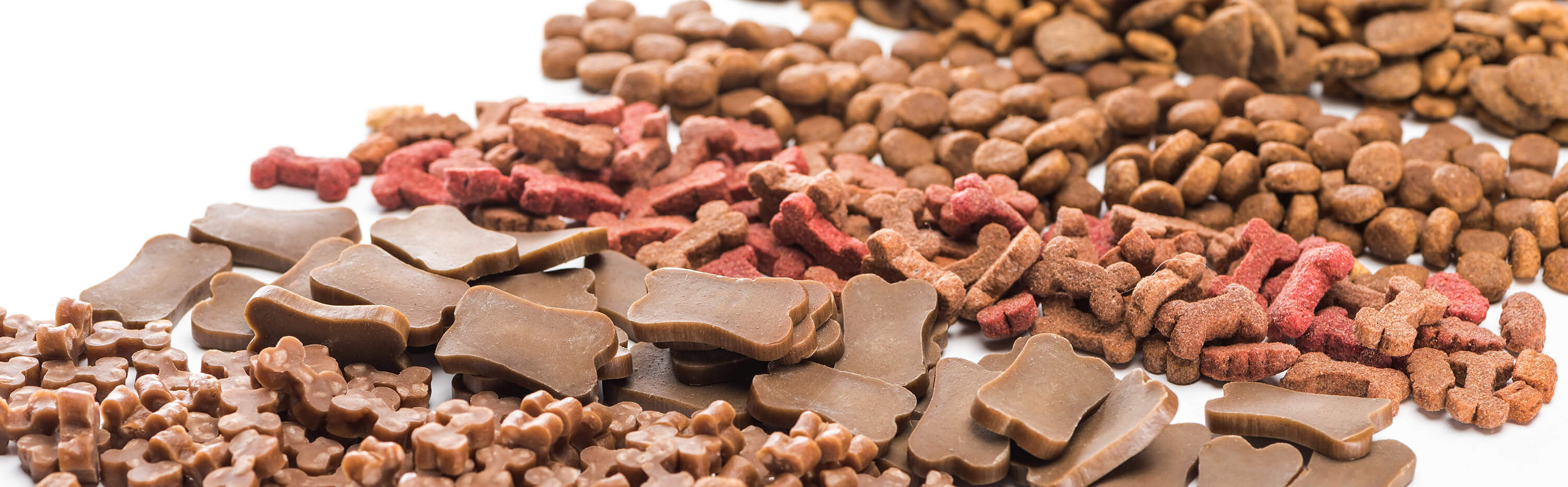 An assortment of dog treats and dry food displayed on a clean white surface.