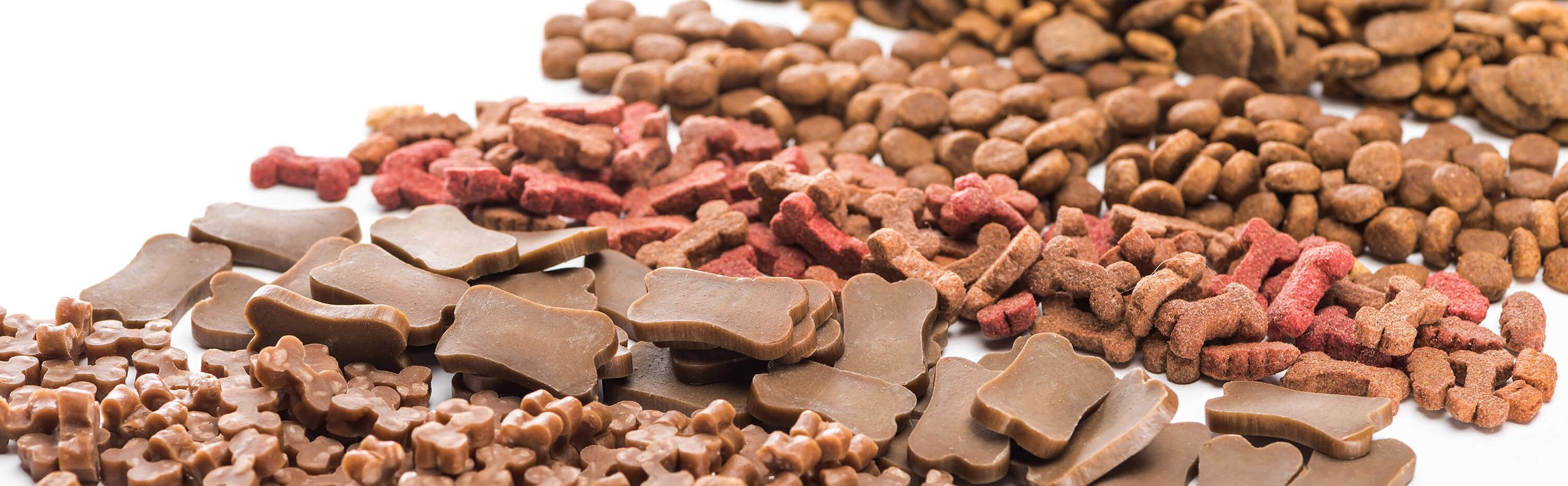 An assortment of dog treats and dry food displayed on a clean white surface.