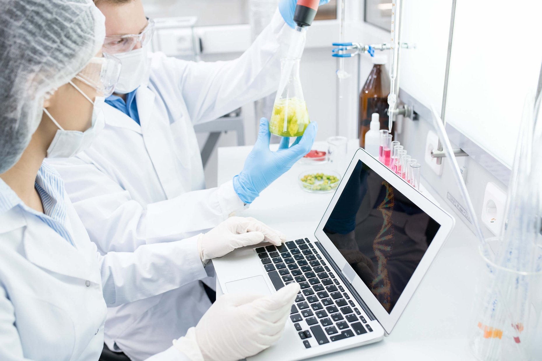 Two scientists conducting food research with a laptop in a laboratory.