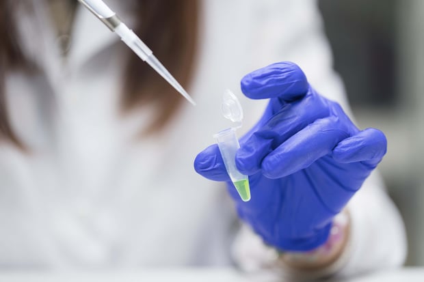 Scientist using a pipette and test tube to examine liquid samples in a laboratory.