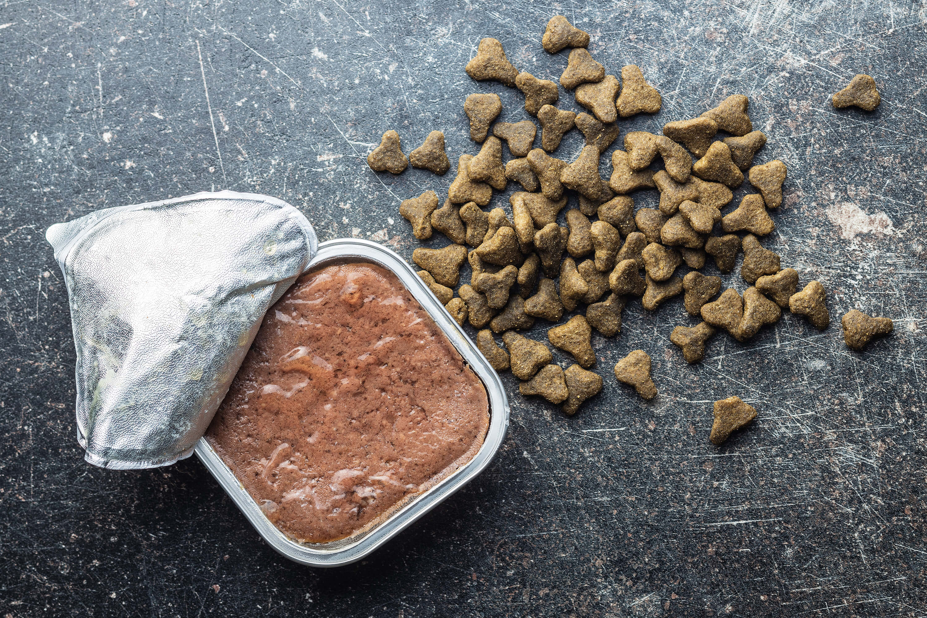 Wet pet food with dry kibble on a dark surface.