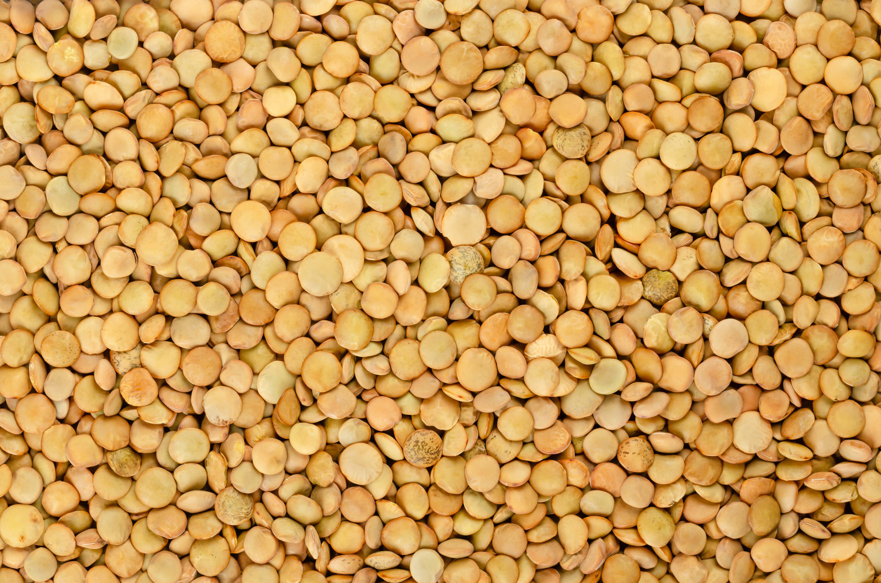 Raw green lentils forming a textured food background.