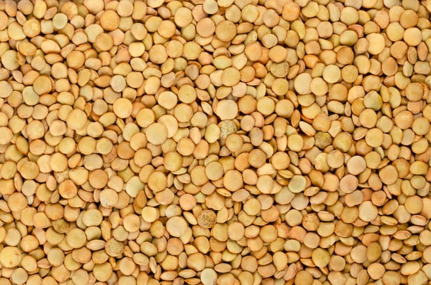 Raw green lentils forming a textured food background.