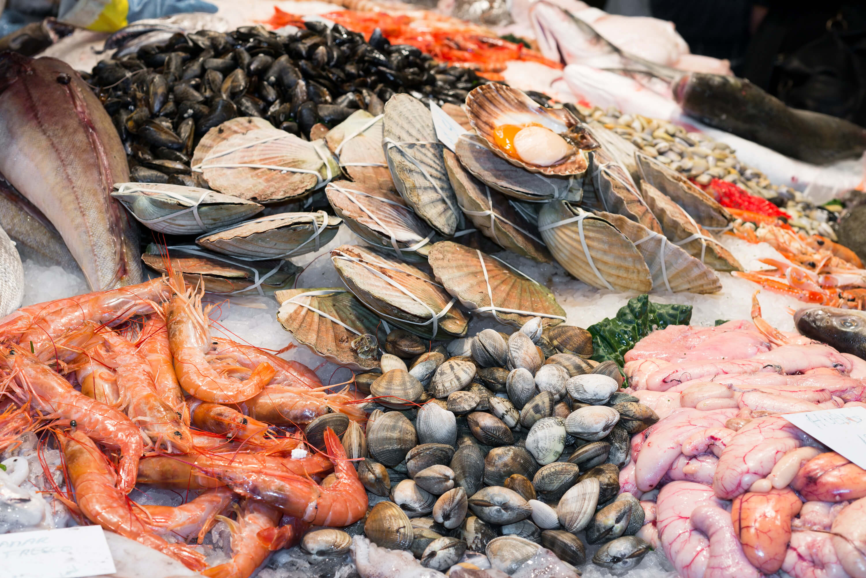 Fresh fish and seafood displayed on ice at a market.