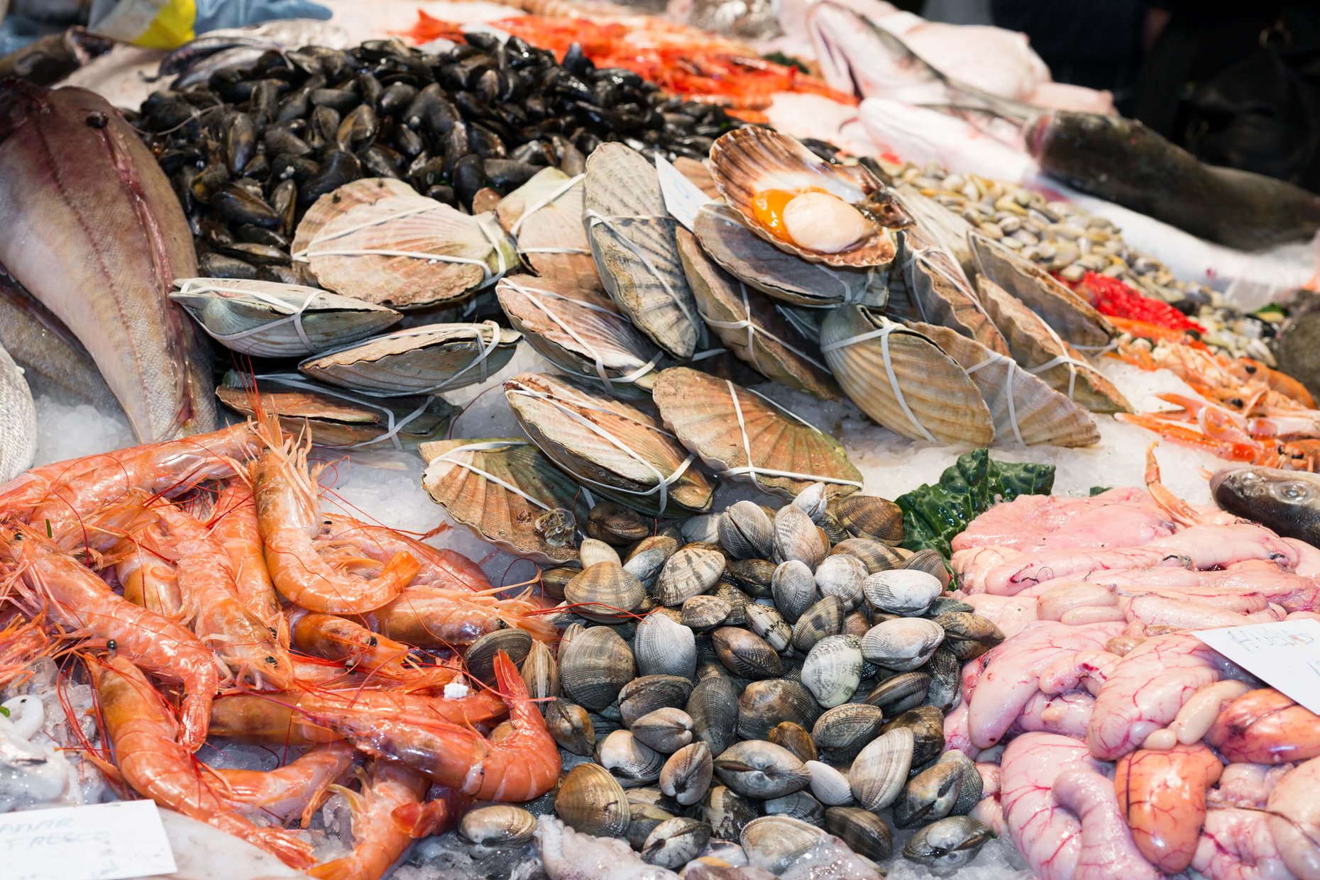 Fresh fish and seafood displayed on ice at a market.