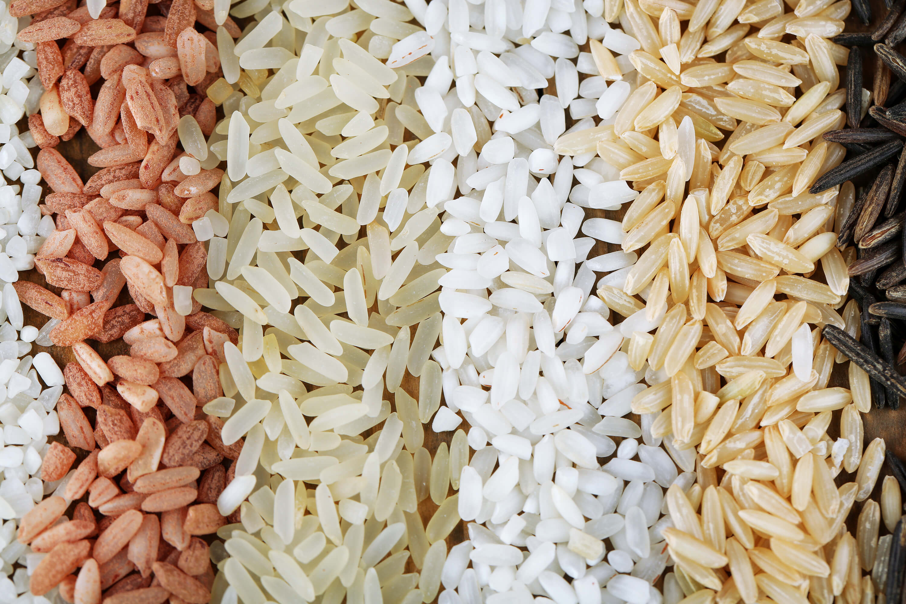 Close-up of different types of rice.