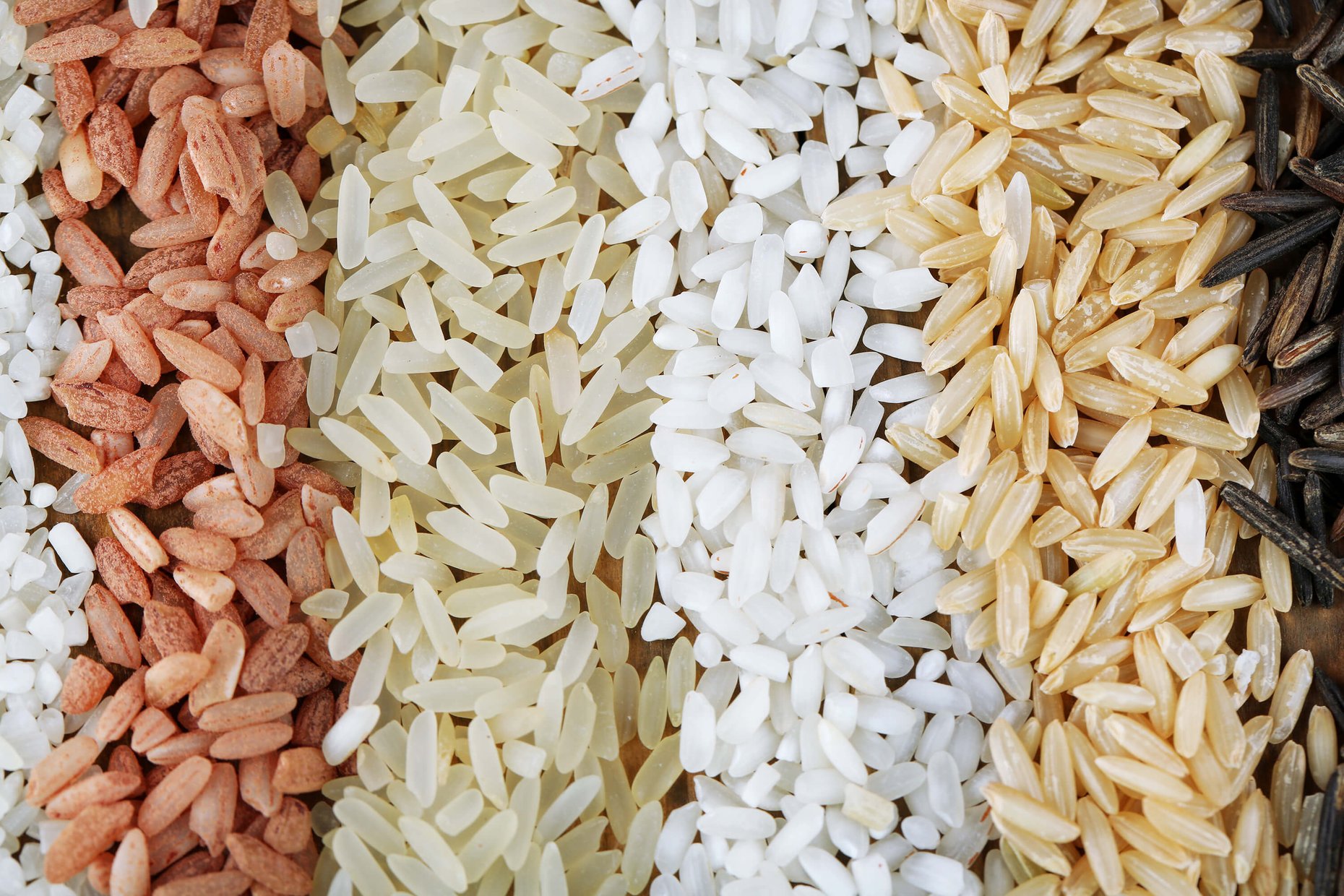 Close-up of different types of rice.