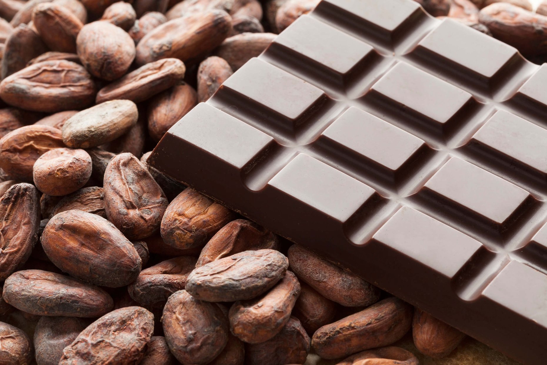 Chocolate bar with cocoa beans.