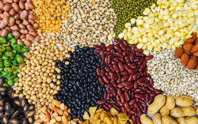 A collage of various beans, peas, whole grains, lentils, legumes, seeds, and nuts creates a colorful texture background of natural, healthy cooking ingredients.