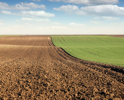 A plowed field with young green wheat stretches across the landscape on a sunny autumn day.
