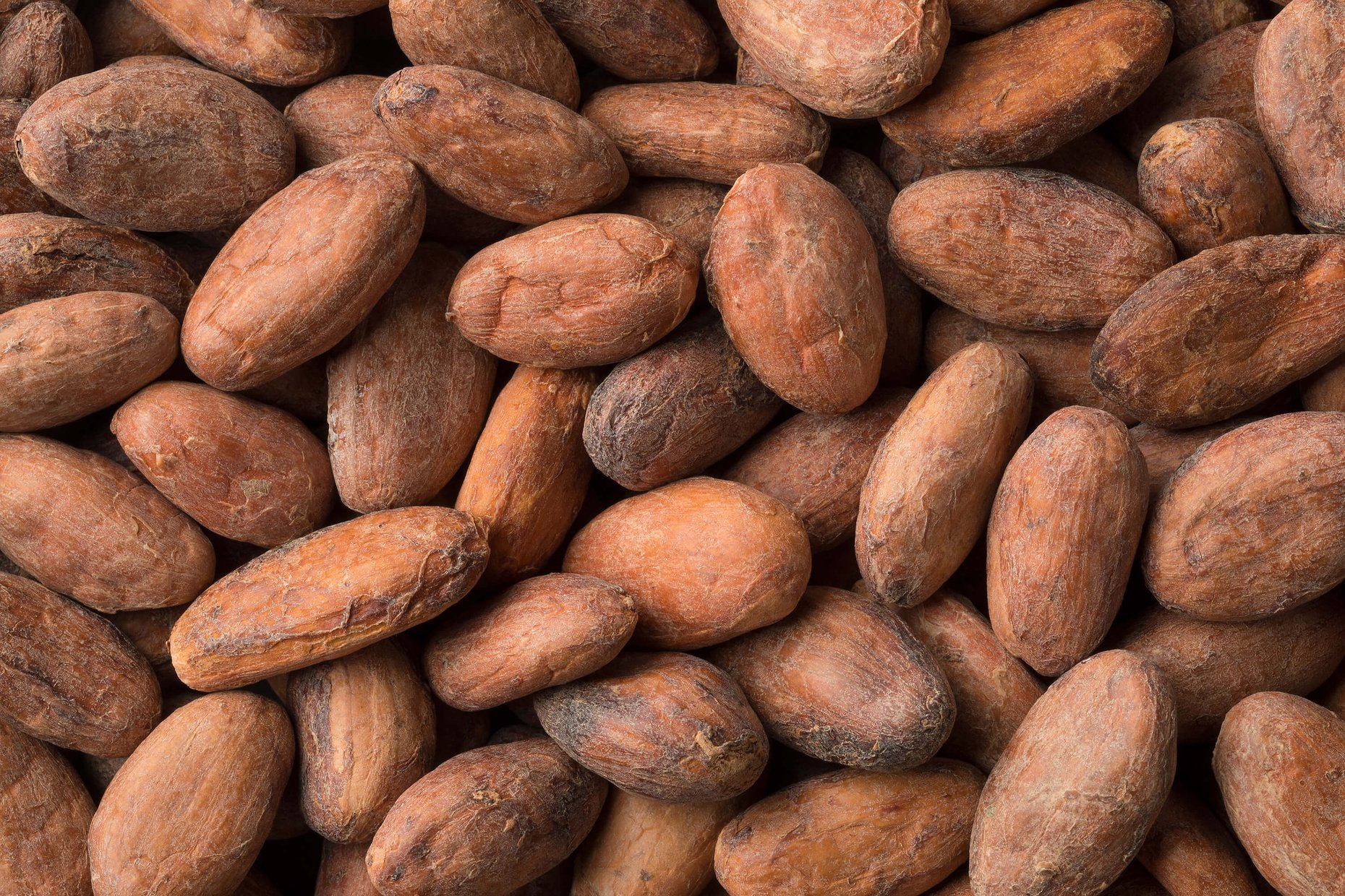 A close-up full-frame view of whole cocoa beans.