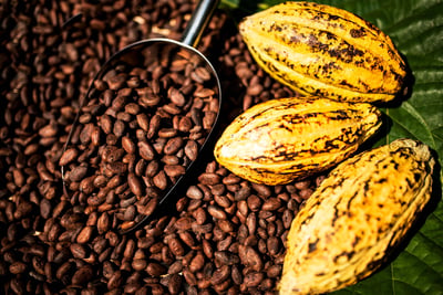 Cocoa beans and a cocoa fruit arranged as raw materials in a cocoa-themed composition, with aromatic cocoa beans forming the background.
