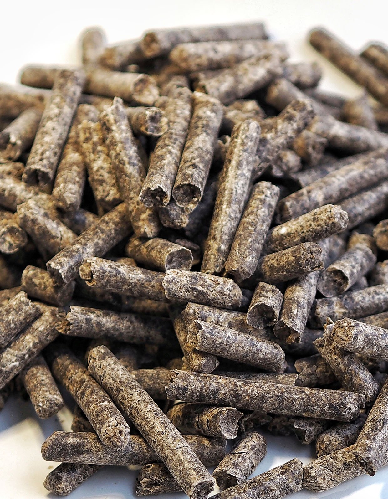 Pile of compound feed pellets on a white background.