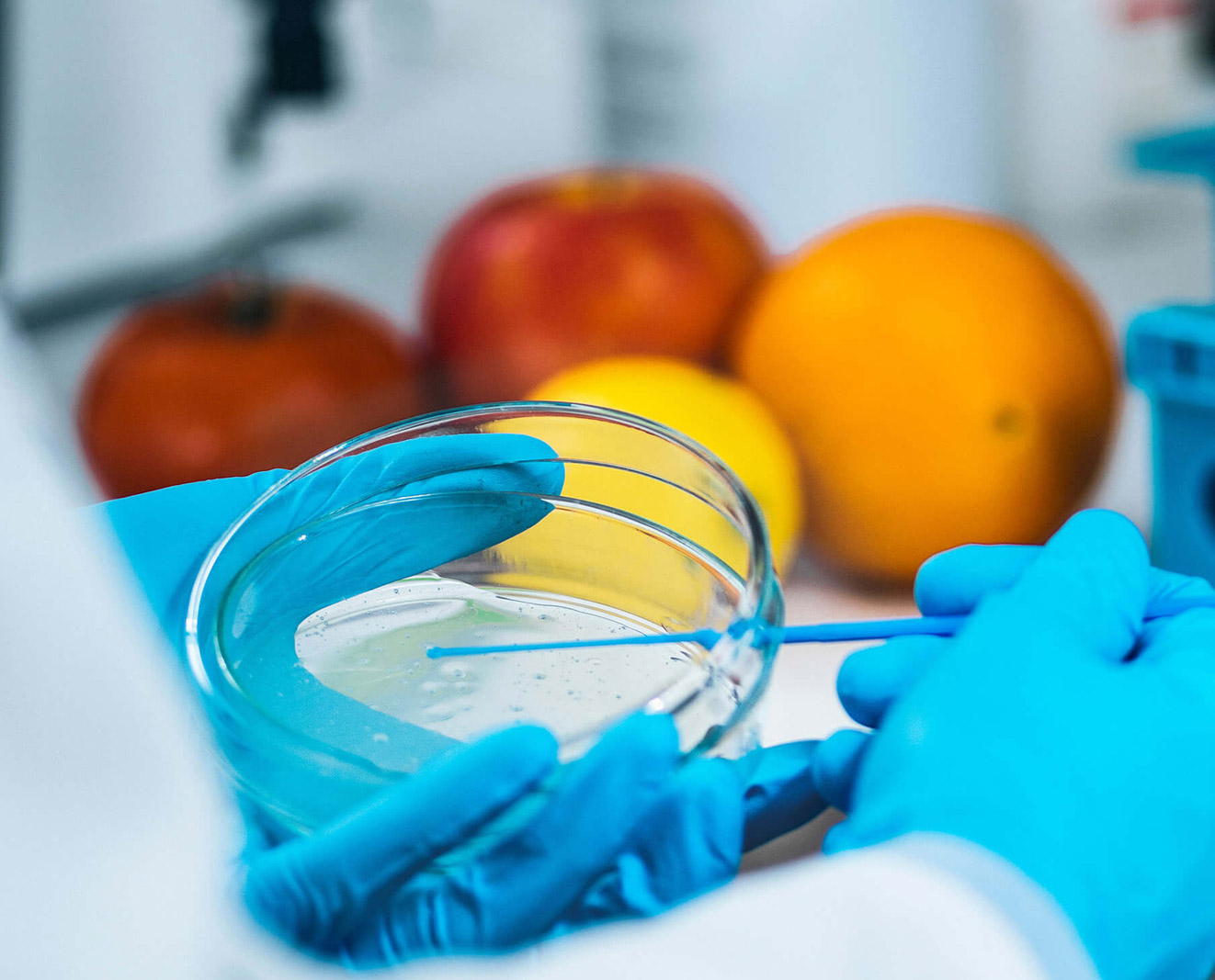 A person in a microbiology laboratory holds a petri dish and uses a sampling tool for food safety testing.