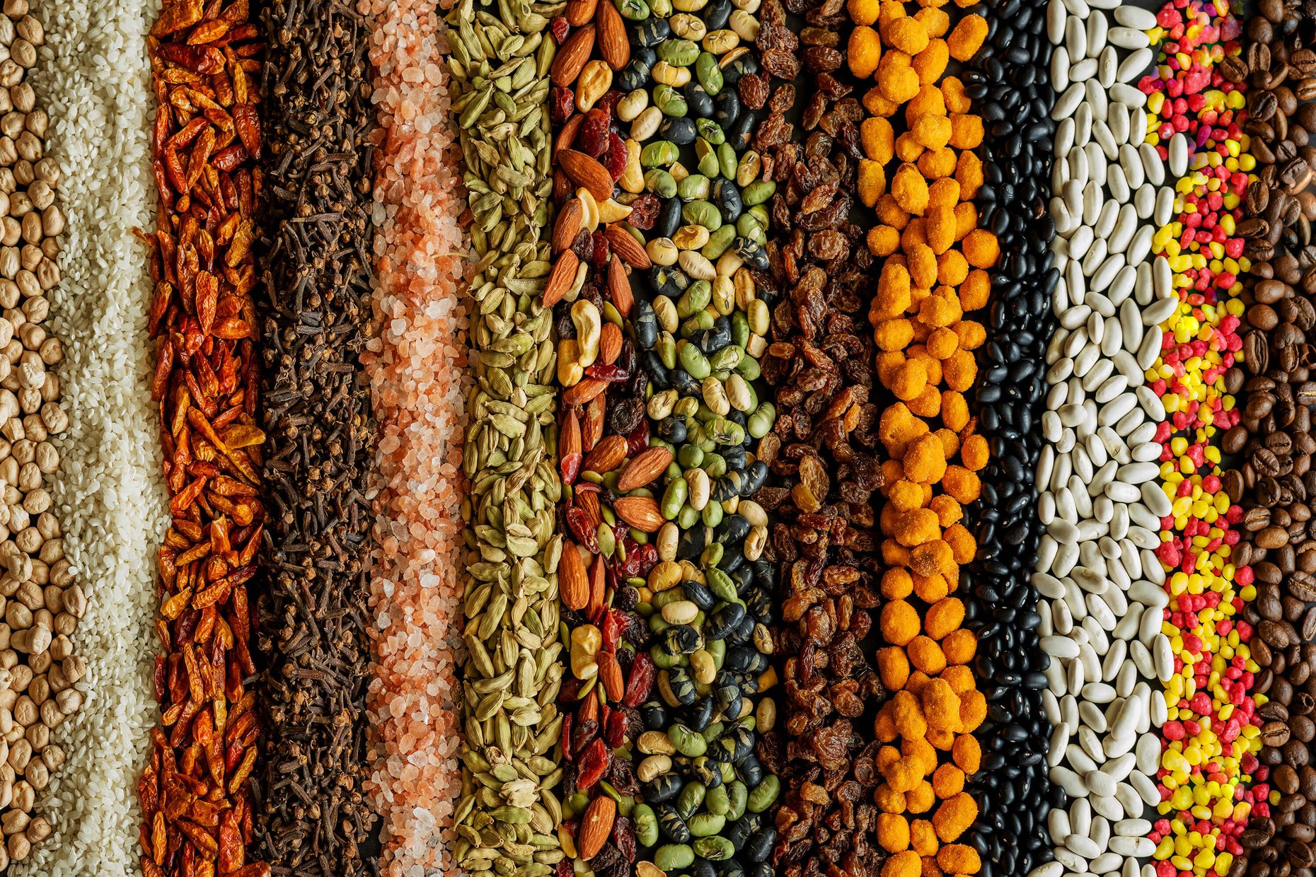 A still life of nuts, legumes, spices, raisins, and coffee arranged in bulk in vertical lines.