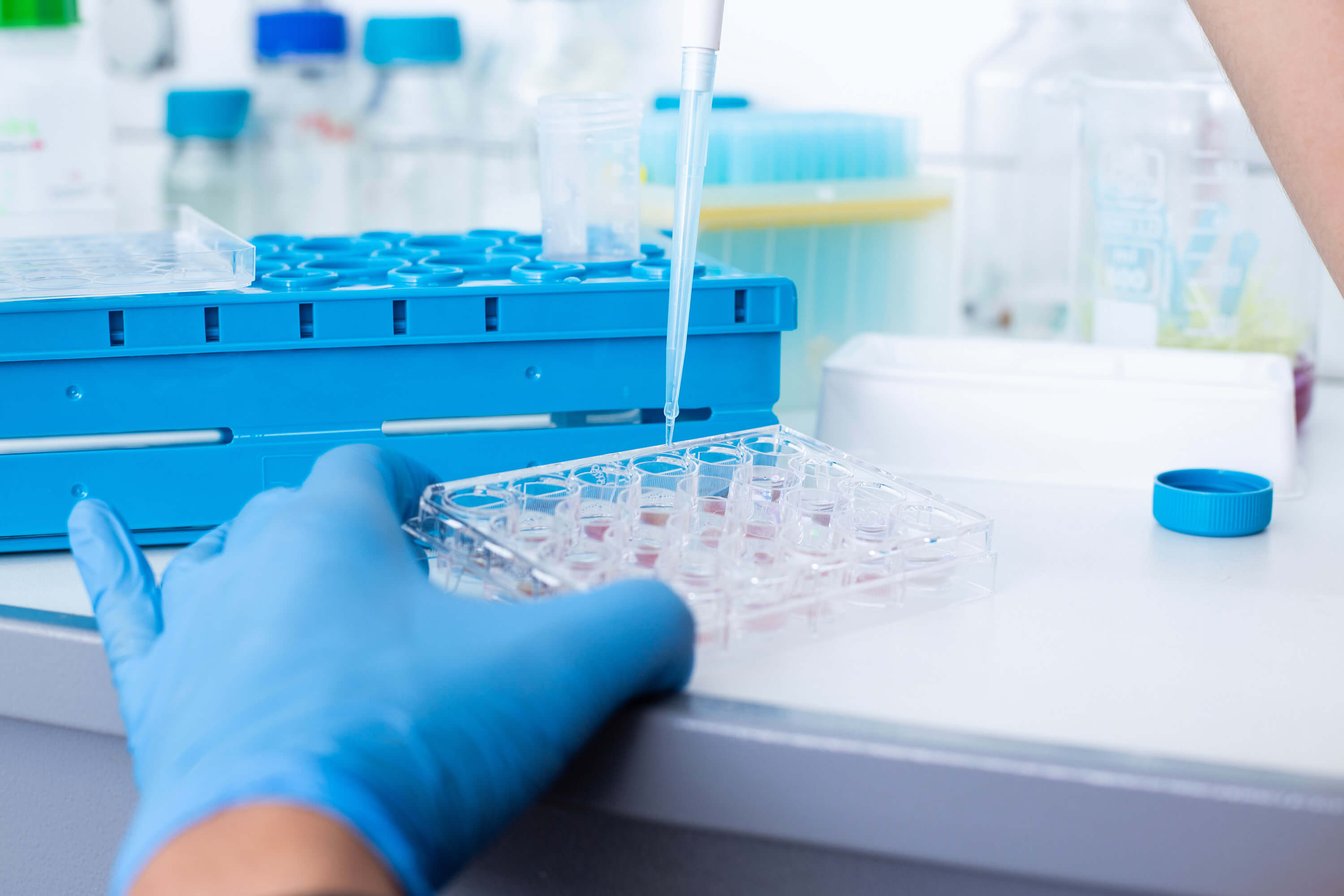 Cell culture work in a medical laboratory focused on genetic bioprocessing and biomedical research.