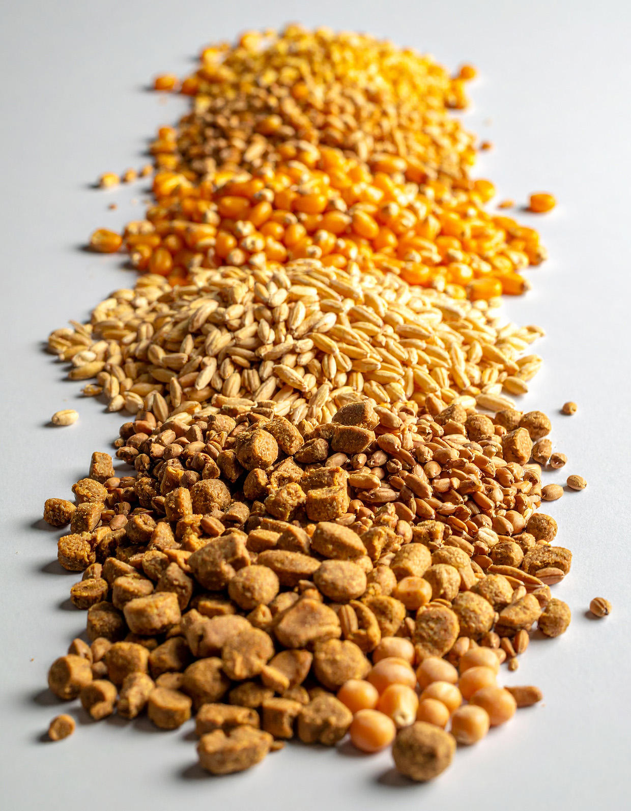 Feed ingredients and feed pellets used for microbiological quality assessment.