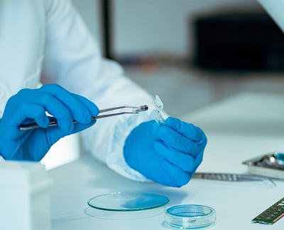 Pharmaceutical sample prepared for microbial purity testing in an accredited laboratory.