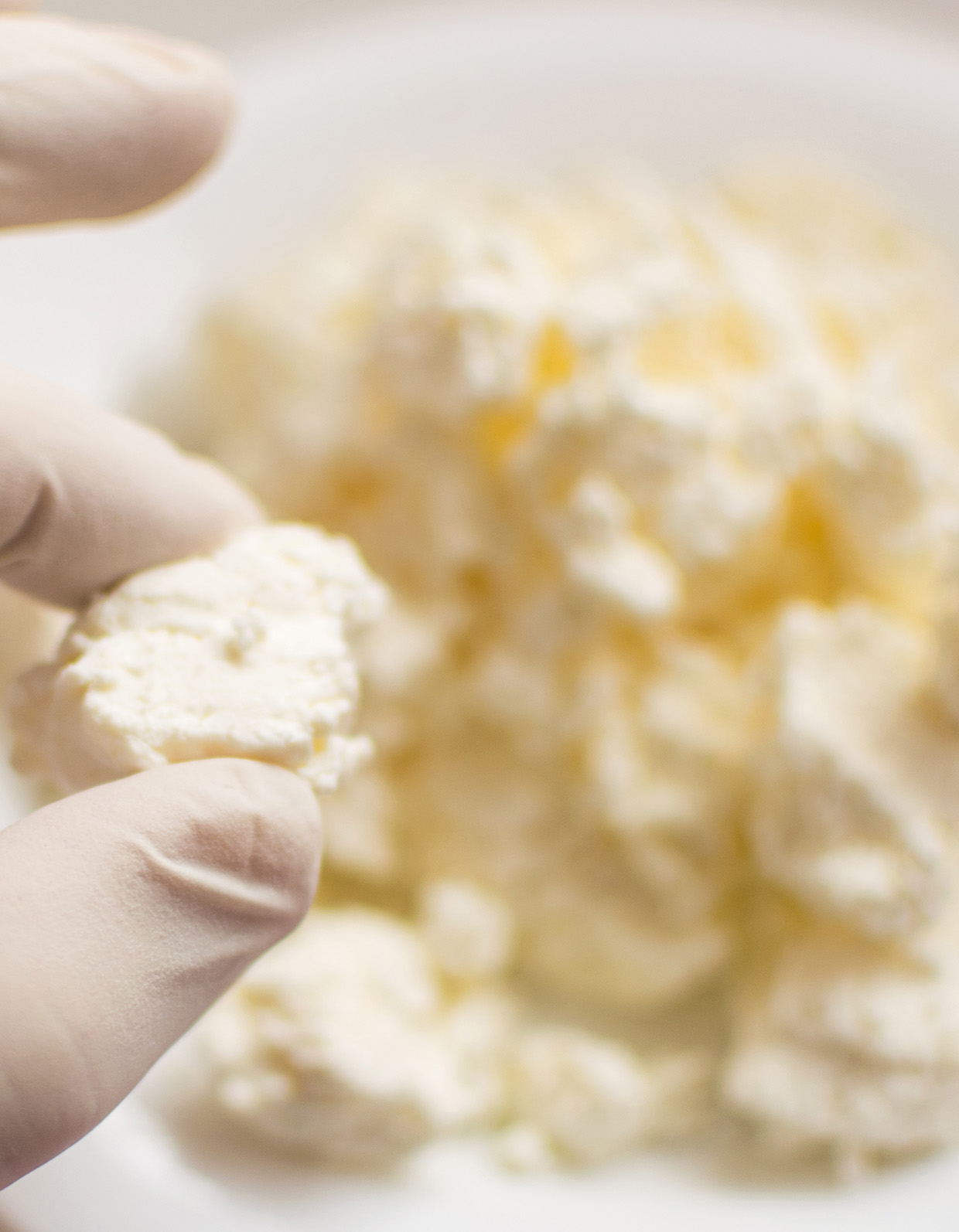Cottage cheese pieces as typical matrice for microbiological food safety testing.