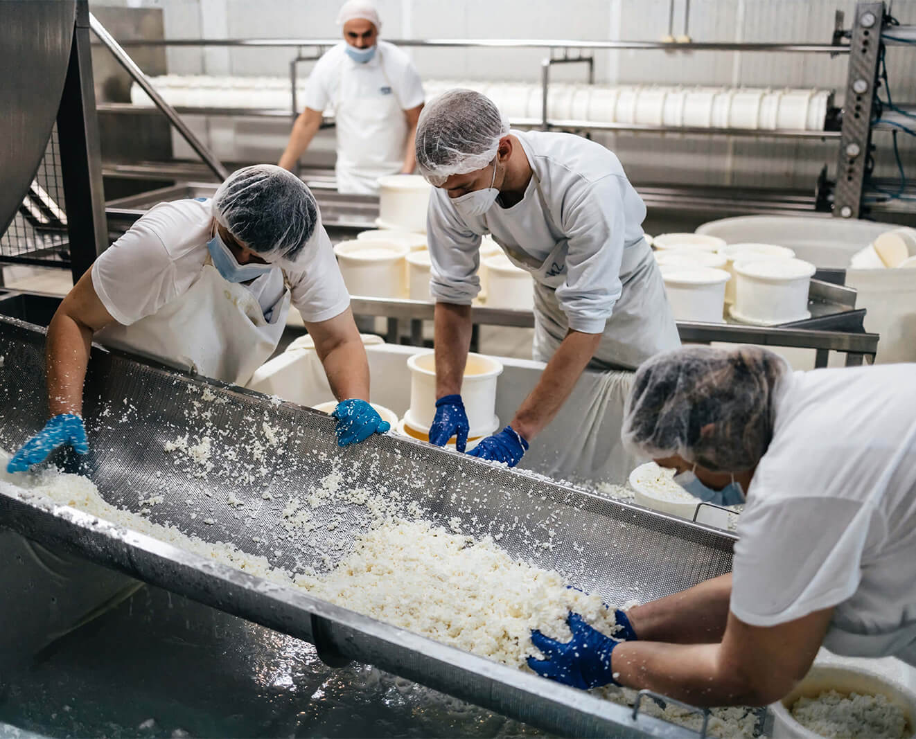 Workers in protective clothing process large quantities of a white dairy product in an industrial food production facility.