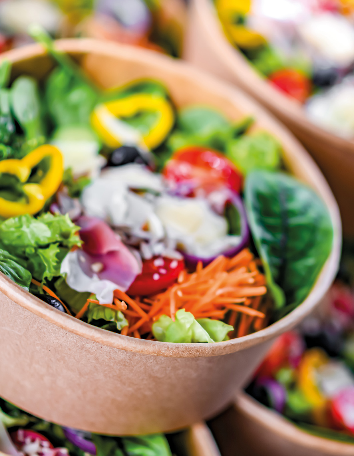 Fresh ready-to-eat salad as matrices for pathogen detection in plant-based foods.
