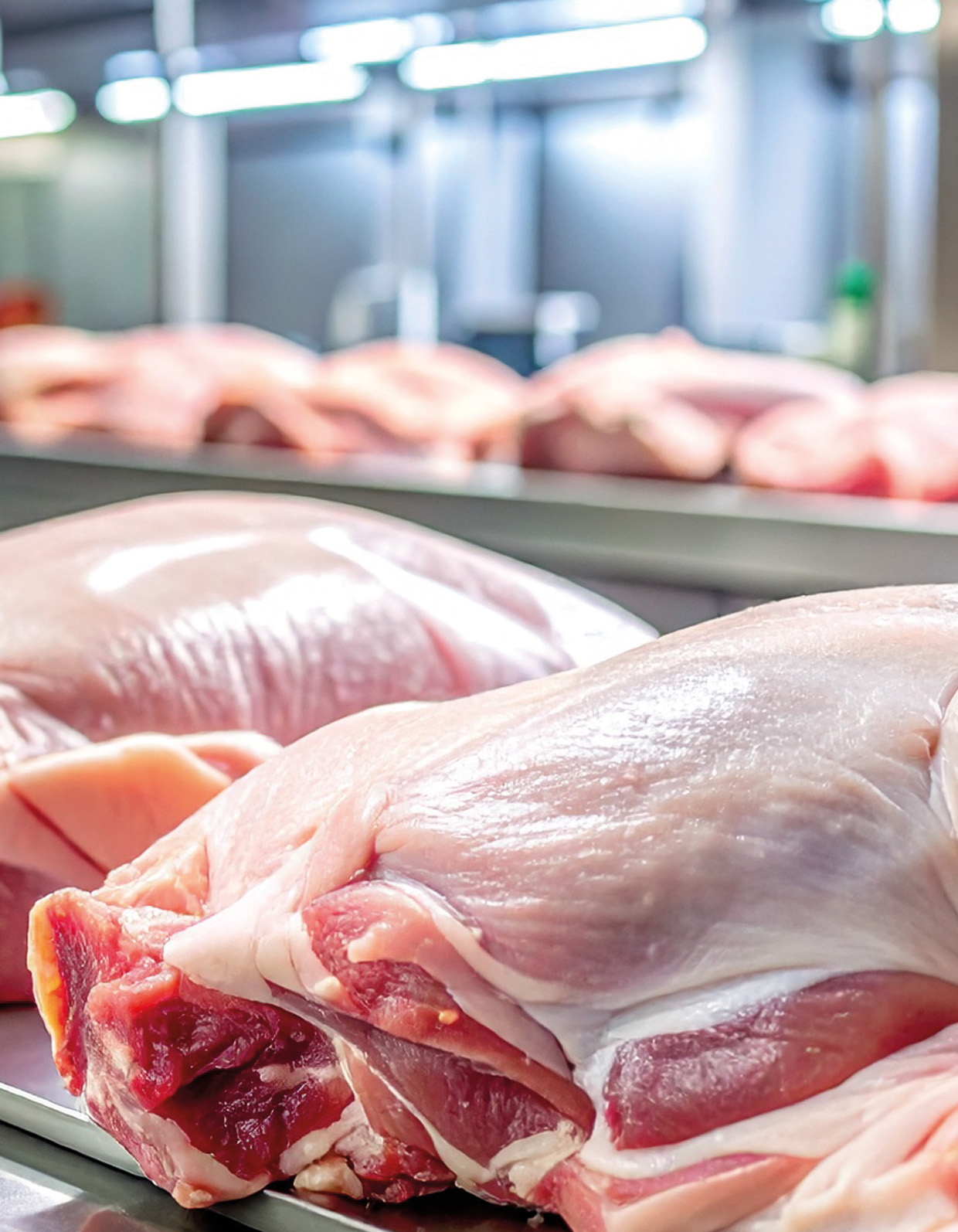 Raw meat pieces on stainless steel processing line for microbiological pathogen testing.