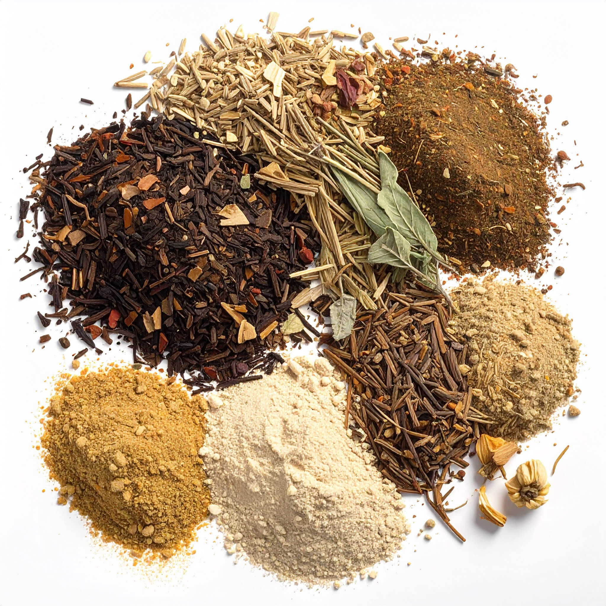 A collection of various spices and herbs arranged on a white background, showcasing vibrant colors and textures of botanicals.