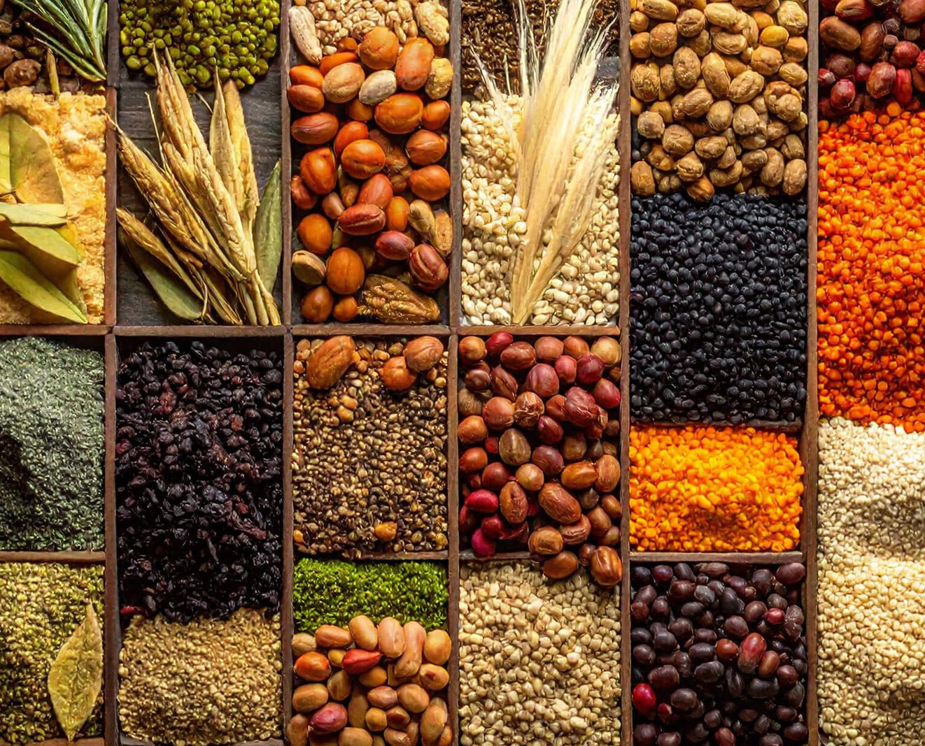 An assortment of spices and herbs displayed in a wooden box, highlighting diverse mixed botanicals.