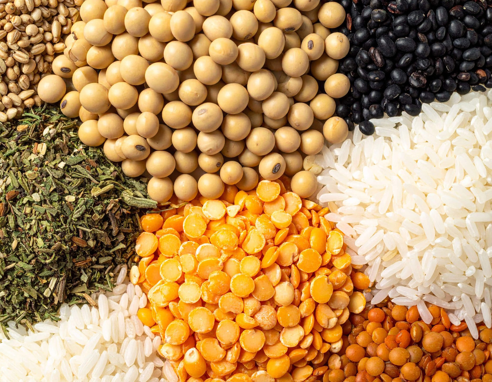 A colorful assortment of various beans and rice types displayed together in a bowl.