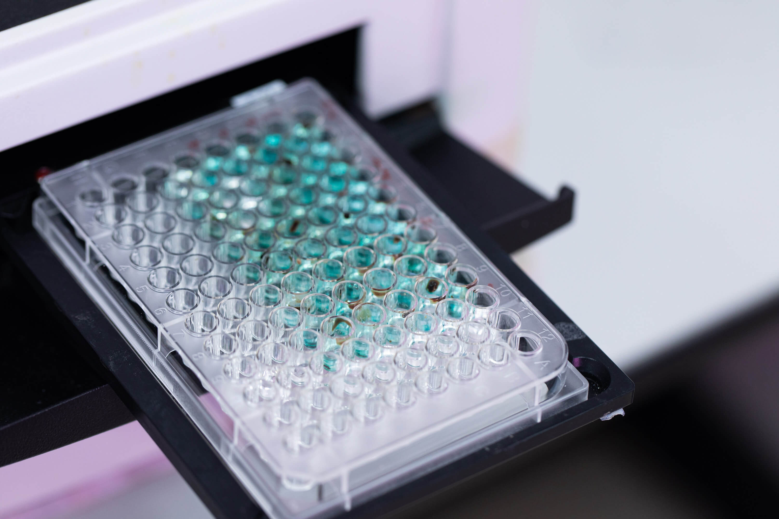 A compact plastic ELISA plate containing small vials filled with green and blue liquid, used for scientific applications.