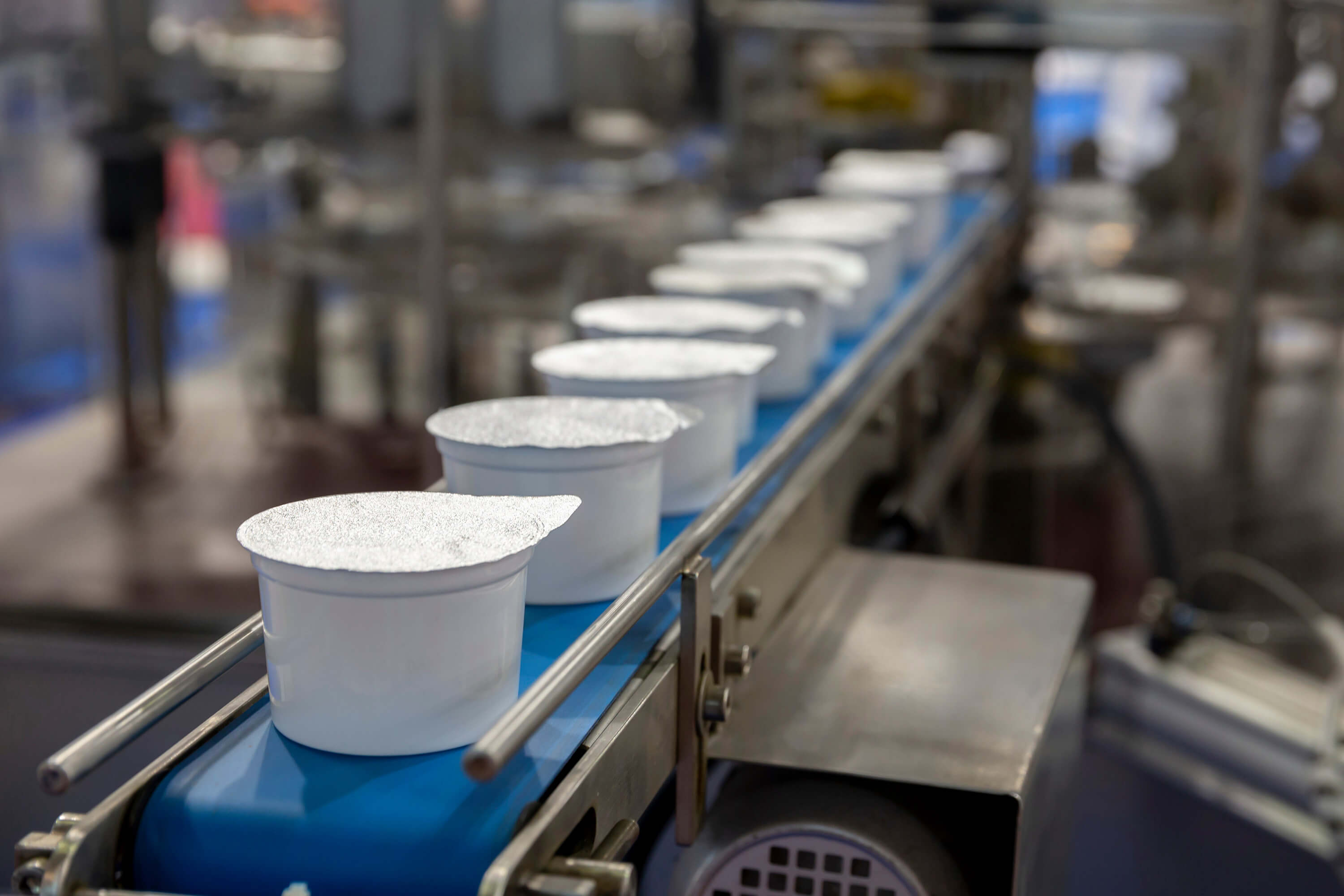 White yogurt cups with sealed foil lids move along a blue conveyor belt in an industrial production facility.
