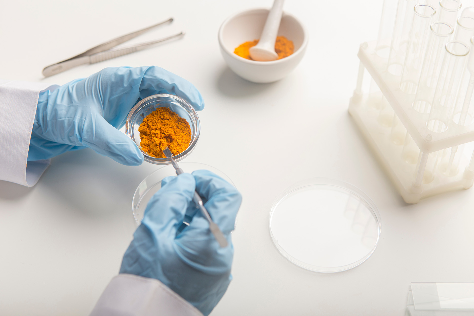 Gloved hands transferring a vivid orange powder sample in a petri dish for laboratory analysis.