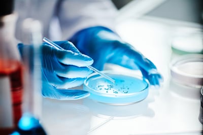 Close up on hands of unrecognizable scientist in vinyl gloves dripping liquid from pipette into petri dish studying microbiology at light table in laboratory.