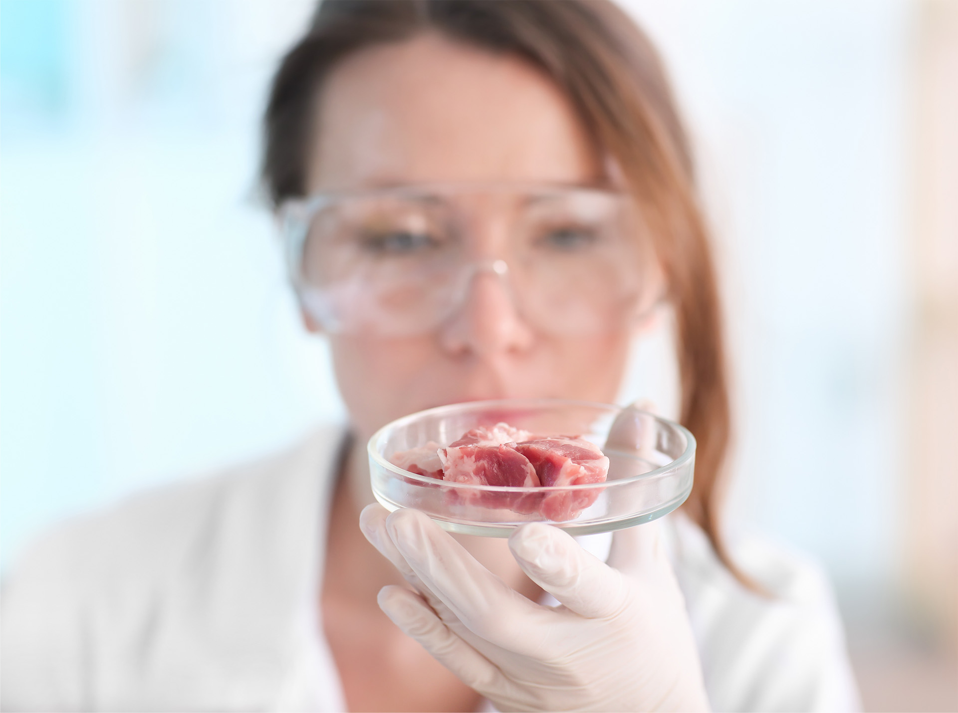 Scientist holding Petri dish with meat sample in laboratory.