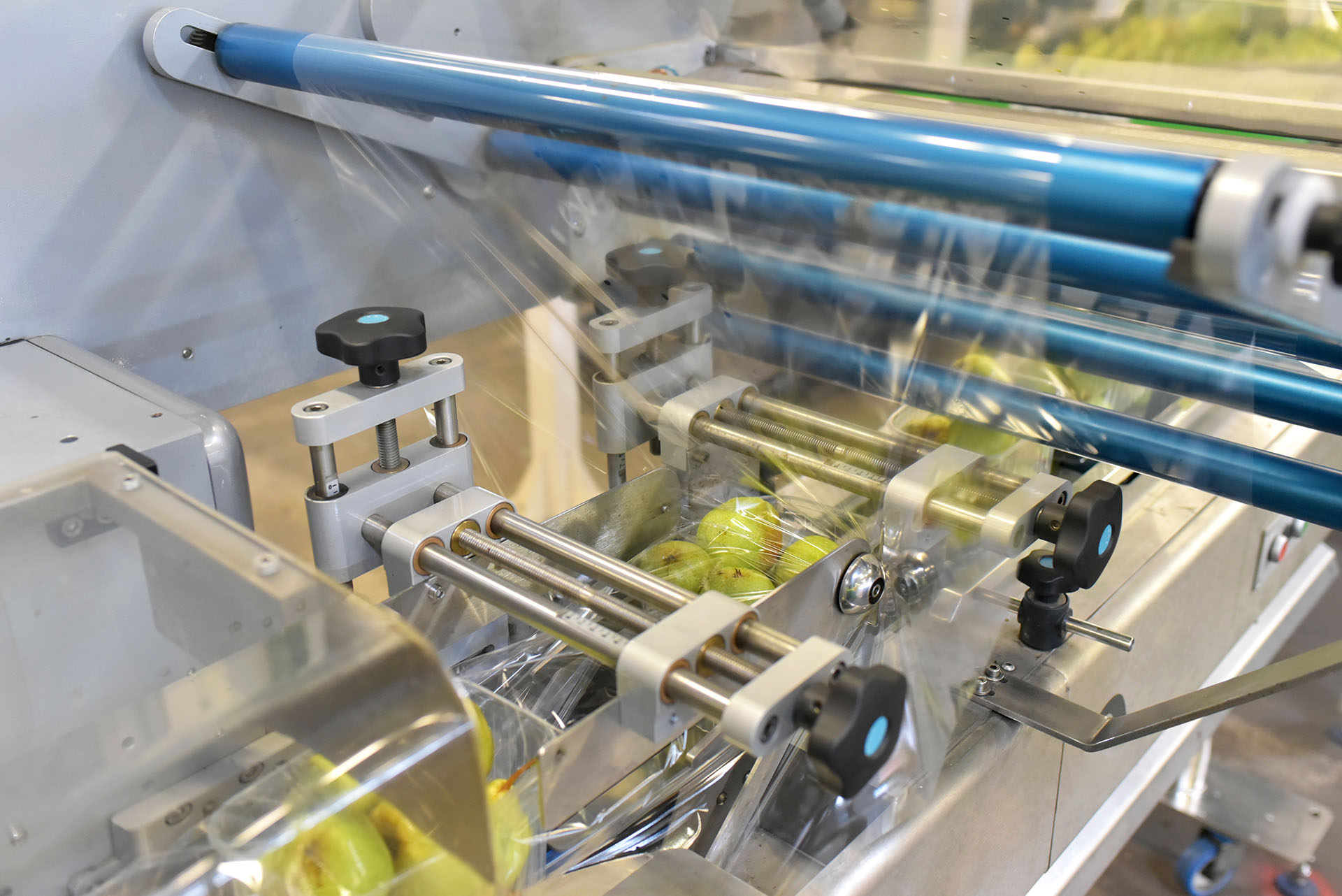 Food items wrapped in plastic film on an industrial packaging machine.