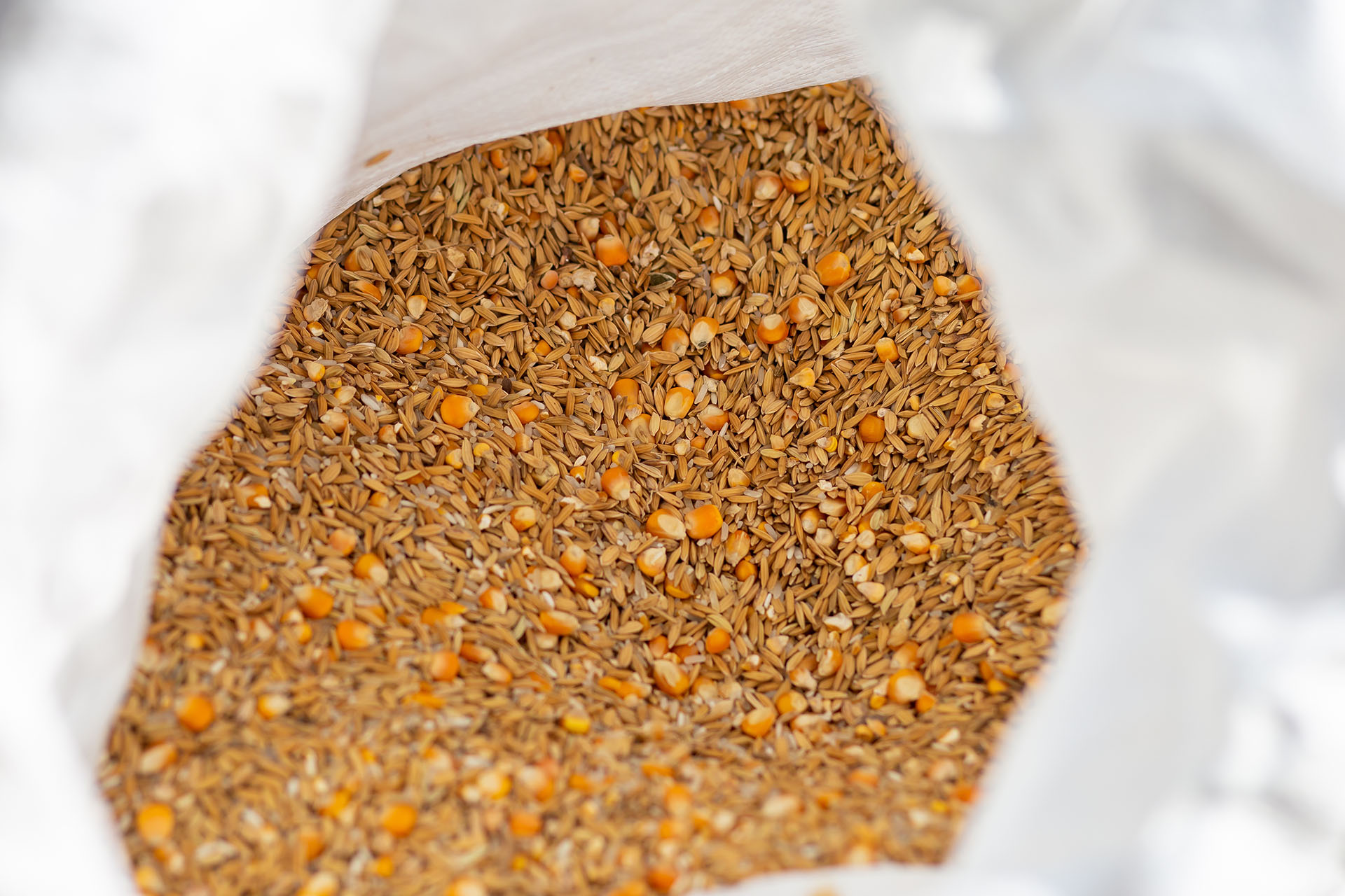Paddy Meal and Corn Meal In white sacks to be used as animal feed.