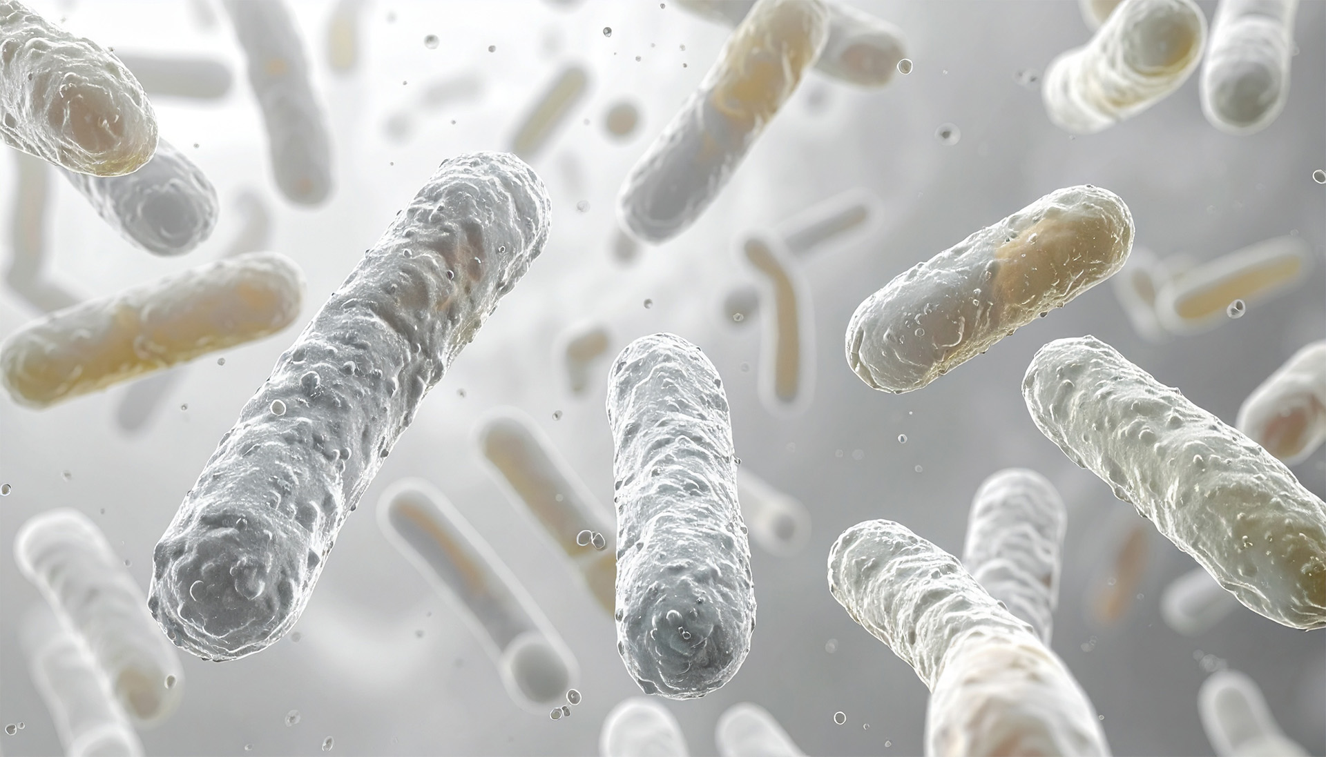 Visualisation of pathogenic bacteria representing pathogen testing and food safety analysis.